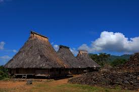 Rumah Adat Wologai